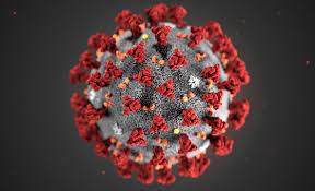 Coronavirus disease (COVID-19) is an infectious disease caused by the SARS-CoV-2 virus. Most people infected with the virus will experience mild to moderate respiratory illness and recover without requiring special treatment. However, some will become seriously ill and require medical attention.
