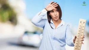 How to Stay Cool During a Heat Wave